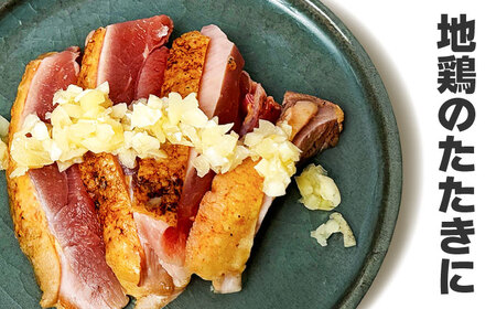 刻んだしょうがとにんにく80g×10袋 / 薬味 調味料 馬刺し たたき / 佐賀県 / 有限会社乃市商店[41AHDB004]