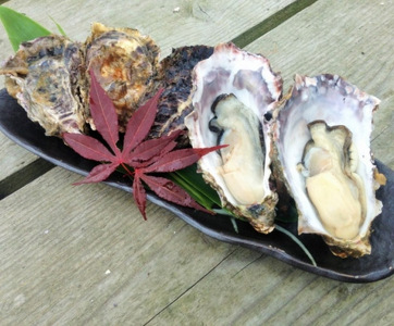 【能登半島地震復興支援】魚介類 牡蠣／能登かき　殻付牡蠣 一斗缶/約10kg（約80～100個） 専用ナイフ 片手用軍手付 /世界農業遺産「能登の里山里海」 石川県 七尾市 能登 ※要加熱 ※2026