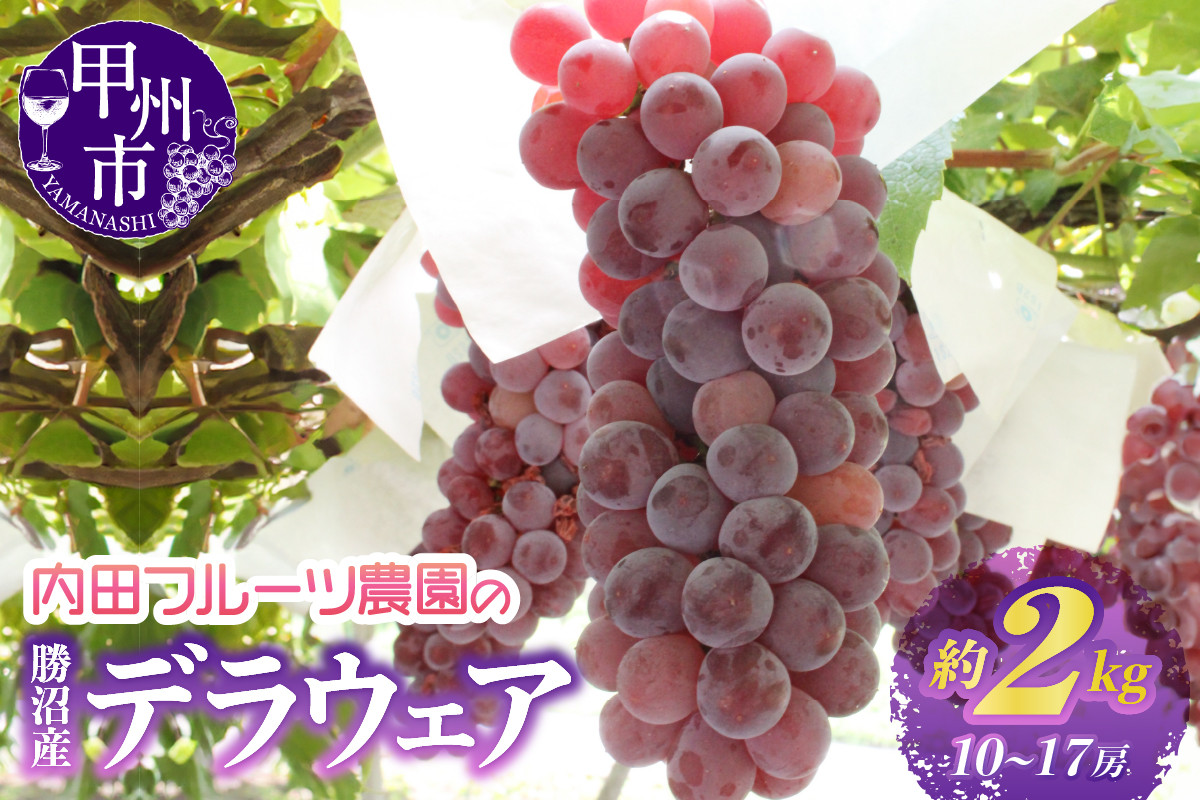 
            内田フルーツ農園のデラウェア 約2kg【2025年発送】（UF）A07-160【デラウェア ぶどう 葡萄 ブドウ 令和7年発送 期間限定 山梨県産 甲州市 フルーツ 果物】
          
