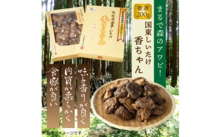 まるで森のアワビ！国東しいたけ香りちゃん（厳選200g）・通_29253A