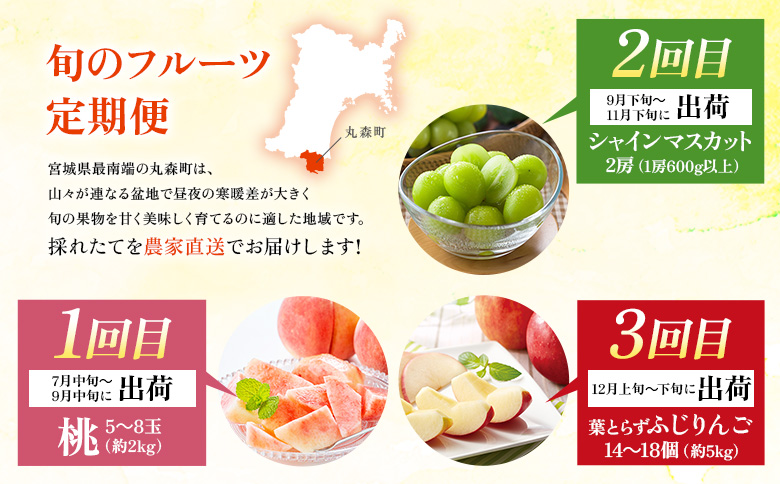 【先行予約】《採れたてを農家直送》 宮城県丸森町産 フルーツ定期便 コース1（桃・シャインマスカット・りんご）【48007】