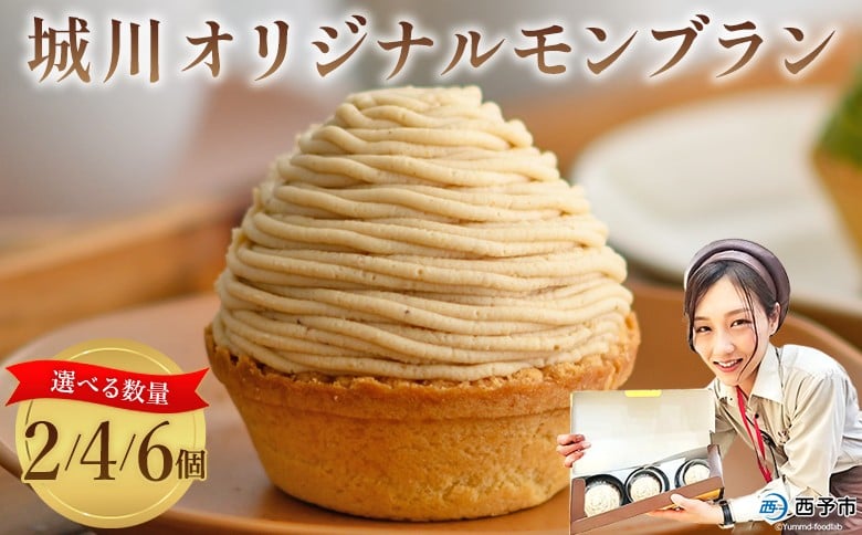 
            ＜城川オリジナル モンブラン 2/4/6個入り＞栗 スイーツ  マロン 洋菓子 おかし ケーキ くり お試し 和栗ペースト クリーム 渋皮煮 スポンジ チーズアパレイユ タルト メニークエスト 愛媛県 西予市【冷凍】
          