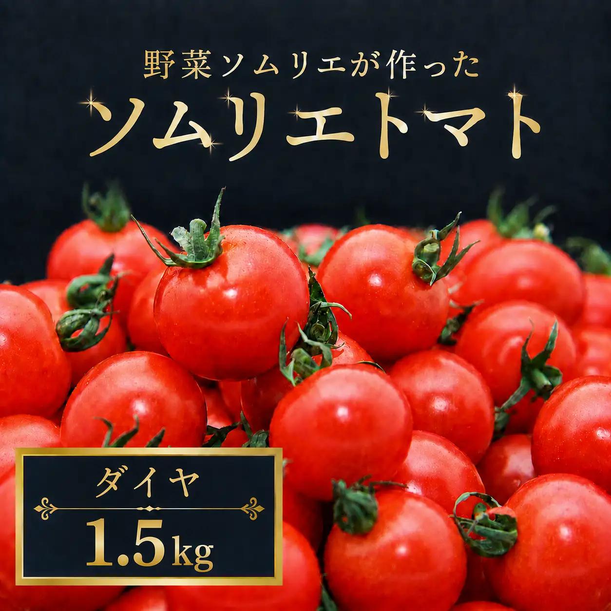 ミニトマト（ダイヤ）1.5kg｜レッドアップ