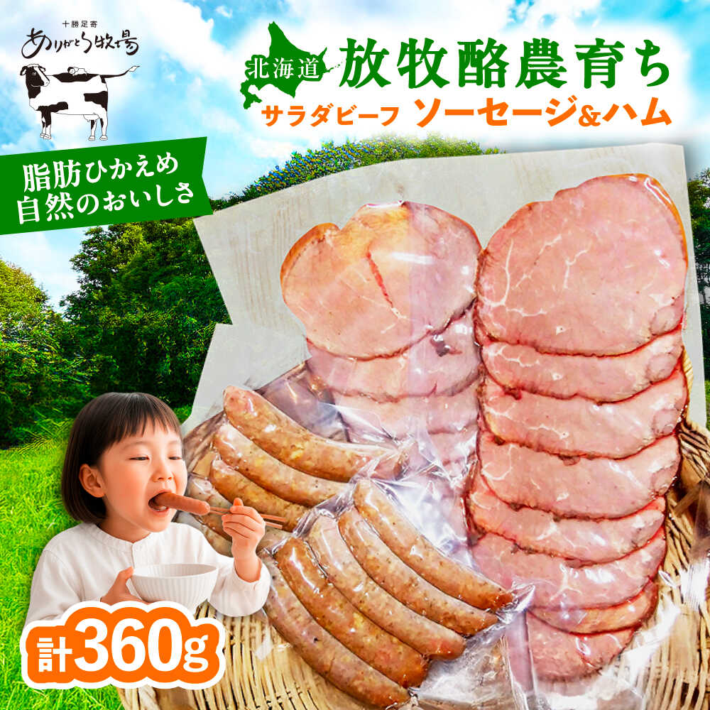 【ふるさと納税】＼TVで話題／ サラダビーフ ソーセージ & ハムセット （ソーセージ100g×2袋・ボンレスハム80g×2袋）足寄町/ありがとう牧場 [BEAH007]