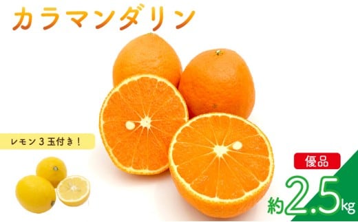 【先行予約】カラマンダリン 家庭用(優品) 約2.5kg & 瀬戸内海の島レモン 3玉 セット | 柑橘 レモン みかん 蜜柑 mikan 檸檬 オレンジ かんきつ セット【2026年3月下旬頃から発送予定】 瀬戸内海 愛媛県 松山市 ココオ Koko'o