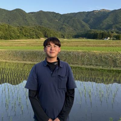ふるさと納税 朝来市 兵庫県産 令和7年産新米　稲場農産のコシヒカリ(白米)10kg【10月発送開始】もっちり美味しいお米 |  | 01