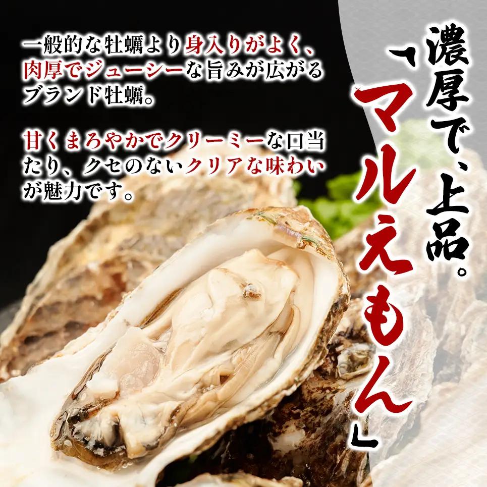 訳あり 北海道 厚岸産  殻付き 牡蠣 350g 【光輝】 [ 魚貝類 生牡蠣 海鮮 海の幸 生食用牡蠣 生食用 生食用殻付き牡蠣 濃厚 甘み  オイスター ]  