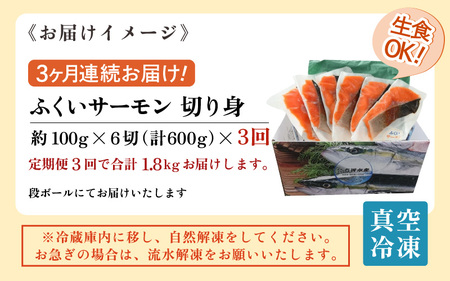 《定期便3回》ふくいサーモン 切り身 100g×6切 計600g ＜鮮度抜群！真空冷凍＞ ／ 生食OK 刺身 焼き魚 鮭 国産 [aw002-f002]