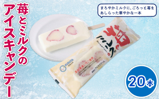 苺とミルクのアイスキャンデー80ml✕20本 |  いちごアイス 苺アイス ストロベリーアイス ミルクアイス アイスキャンデー アイスキャンディー 果肉入りいちごアイス 生苺使用 いちごミルク フルーツアイス 果実アイス 素材にこだわる ご当地アイス 冷凍スイーツ デザート おやつ お取り寄せ 人気アイス 夏スイーツ 家族向け 個包装 久保田食品 高知県 南国市