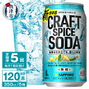 【ふるさと納税】 定期便 5回 サッポロビール チューハイ サワー 無糖 新・食中酒 甘くないおいしさ クラフト スパイス ソーダ 350ml×24本 焼津市 T0043-1205