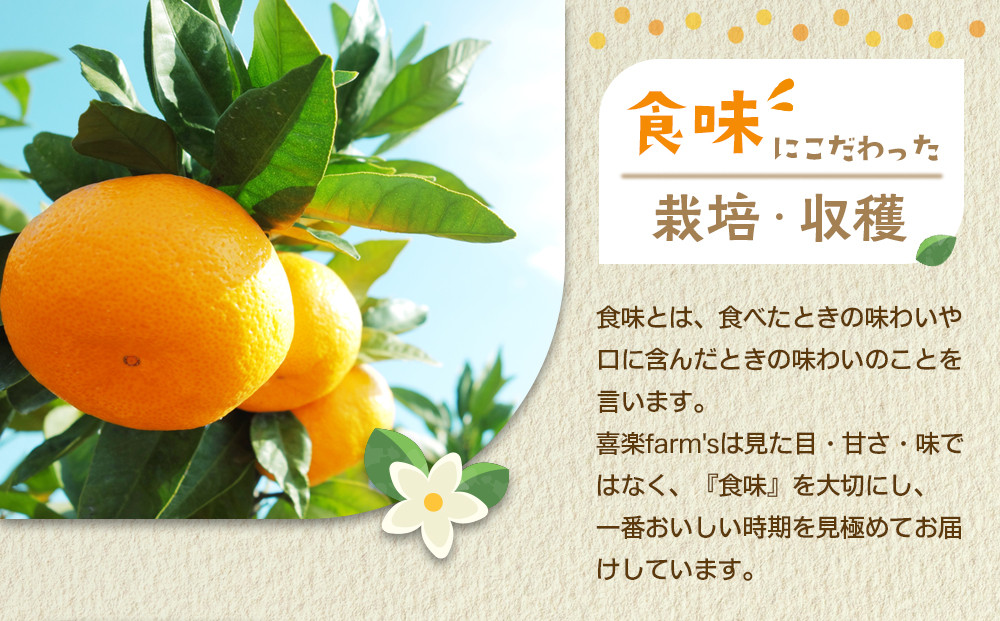 産地直送 有田みかん 大玉サイズ 2L～4L サイズ混合 約10kg 喜楽farms 【2026年12月以降順次発送】