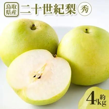 【先行予約】二十世紀梨　秀 約4kg【配送不可地域：離島・北海道・沖縄県】【1733684】