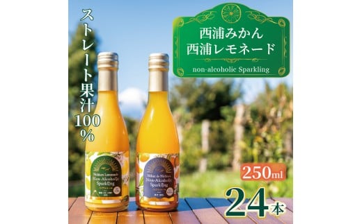 オレンジ ジュース スパークリング ストレート 果汁 100％ 温州 みかん 西浦 レモネード 250ml×24本 飲み比べ セット 希少 柑橘 蜜柑 飲み物 人気 贈答用 静岡 沼津