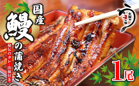 国産鰻の蒲焼き 1尾 うなぎ ウナギ 鰻 うなぎ うなぎ うなぎ 