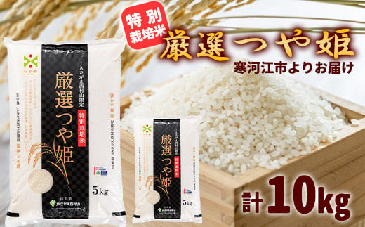 
            【特別栽培米】 厳選つや姫 10kg（5kg×2袋） 《JAさがえ西村山限定》 2024年産 令和6年産 山形県産 山形産 白米 精米 小分け 便利 弁当 ブランド米 ごはん ご飯 オリジナル 東北 国産 10キロ　027-C-JA029
          