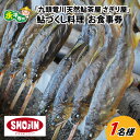 【ふるさと納税】九頭竜川天然鮎茶屋 さぎり屋 鮎づくし料理 お食事券（1名様分） / 永平寺町 アユ 和食 チケット ランチ