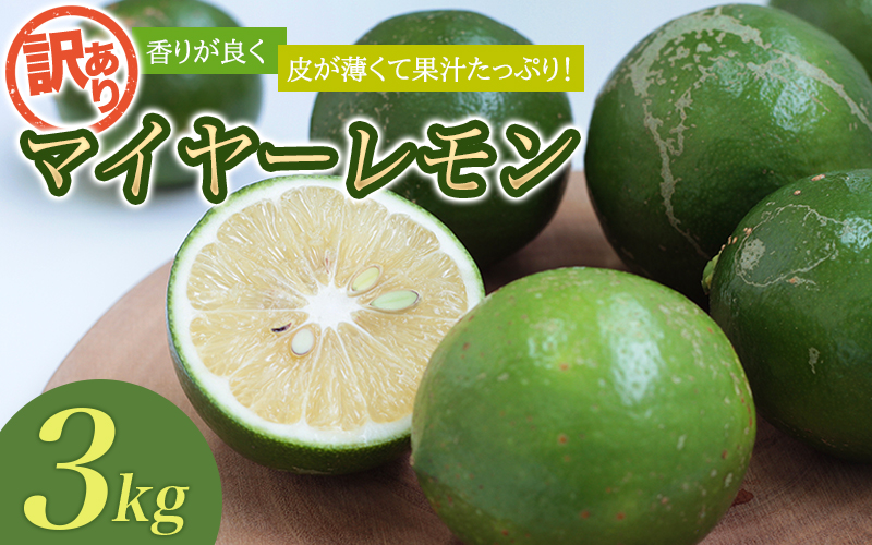 はぎファームの訳ありマイヤーレモン ３kg 【2024年10月~2025年3月下旬の期間で順次発送】 / レモン 国産 マイヤーレモン 数量限定  訳あり【hgf003A】