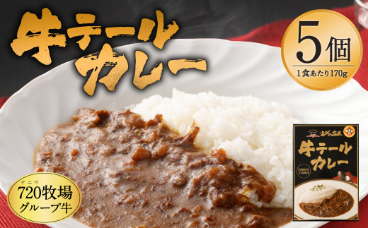 えびの高原 牛テール カレーセット 170g×5個 合計850g レトルト お手軽 時短 便利 非常食 保存食 防災食 キャンプ飯 夜食 レトルト食品 レトルトカレー ギフト 贈り物 牛肉  送料無料 一人暮らし