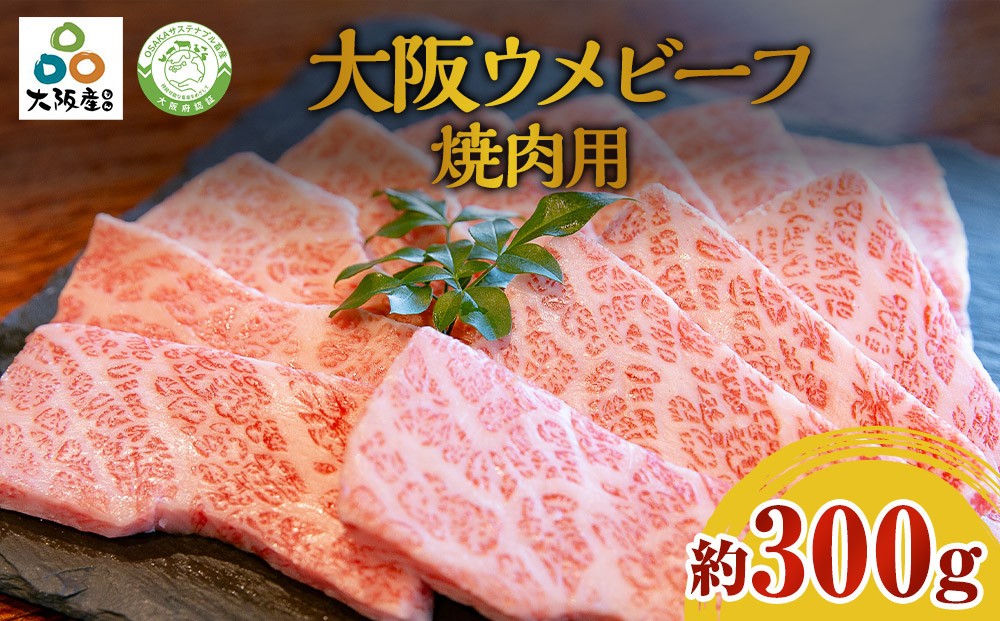 
                  大阪ウメビーフ　焼肉用300g
                