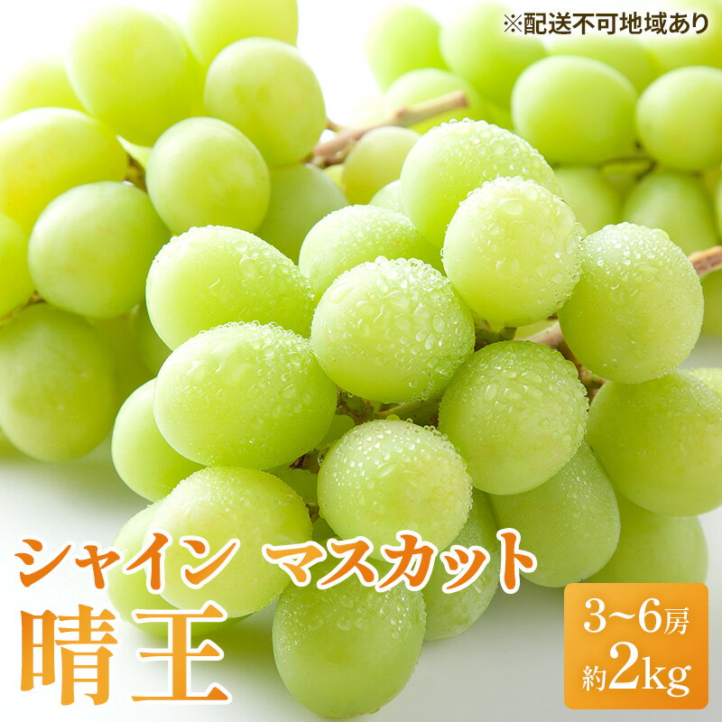 【ふるさと納税】ぶどう 2026年 先行予約 シャイン マスカット 晴王 3房～6房 約2kg ブドウ 葡萄 岡山県産 国産 フルーツ 果物 ギフト シャインマスカット 美しい 大粒 種なし 弾力 高糖度 甘い 　お届け：2026年7月上旬～2026年8月中旬