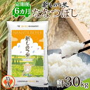 【ふるさと納税】北海道 定期便 6ヵ月連続 全6回 R6年産 北海道産 ななつぼし5kg 精米 米 ごはん お米 新米 特A 北海道米 ブランド米 道産 飯 お取り寄せ 半年 あっさり ふっくら まとめ買い 新しのつ米 令和6年産　定期便　お届け：2025年1月中旬～下旬より発送