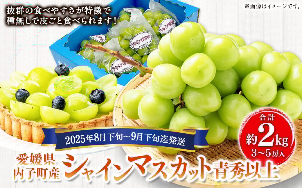 
            内子町産 シャインマスカット 青秀以上 3～5房入 約2kg 【2025年8月下旬～9月下旬迄発送】 【えひめの町（超）推し！（内子町）】（445）
          