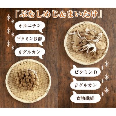 ふるさと納税 十日町市 はぴふるの国産乾燥きのこ 2種 ぶなしめじ 30g まいたけ 30g 各1袋 新潟県十日町市 |  | 01