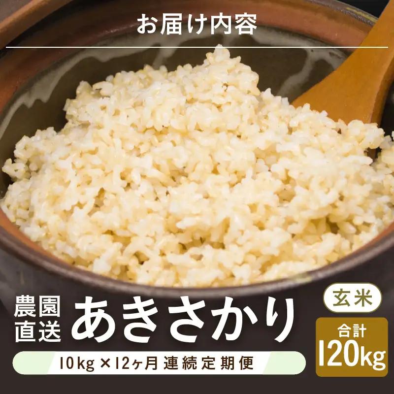 先行予約 令和8年産 新米 (玄米) 定期便 12ヶ月連続お届け あきさかり 10kg (5kg×2袋) × 12回 計120kg ブランド米 米 2026年10月上旬以降順次発送 [O-8912_0