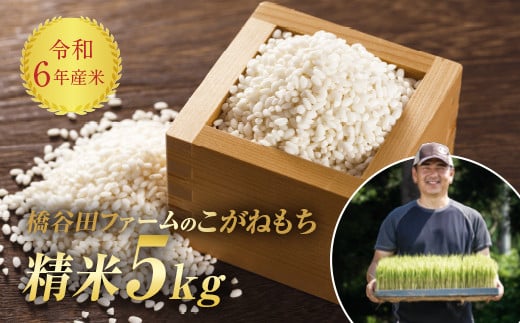 令和6年産米 減農薬・減化学肥料栽培 もち米 こがねもち 5kg 精米 米 お米 おこめ ご飯 ごはん おもち 福島県 西会津町 F4D-1075