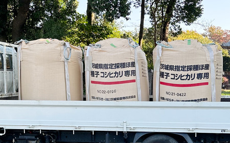 令和7年産 市左衛門農場コシヒカリ10kg 米