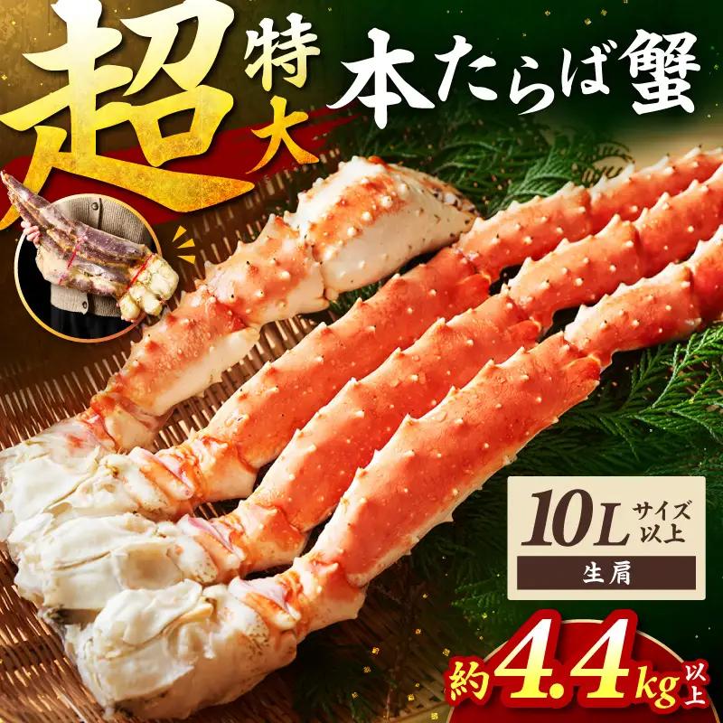 【2肩4.4kg以上の超極太10L以上メガサイズ】一番人気！ 本たらば蟹 生肩 約4.4kg以上【087A-011】