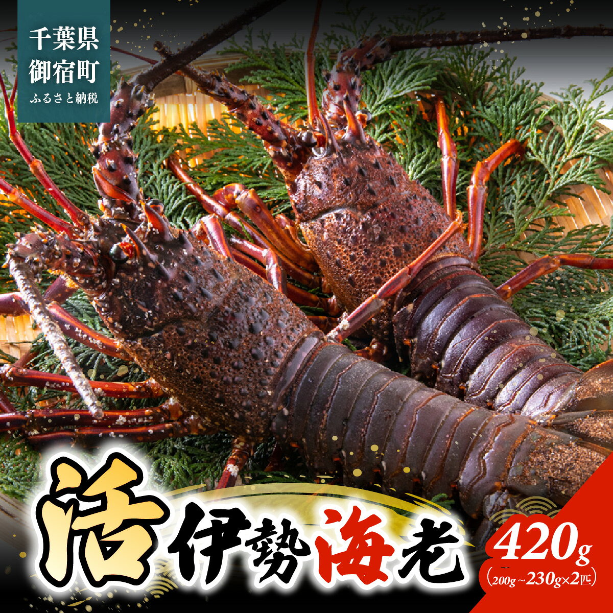 【ふるさと納税】C121 活伊勢海老420g（200～230g×2匹）ONJB011