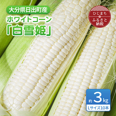 
                  大分県日出町産　ホワイトコーン「白雪姫」【1615424】
                