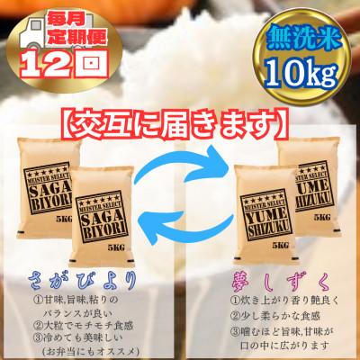 ふるさと納税 江北町 【毎月定期便】【無洗米】食べ比べ10kg(さがびより・夢しずく)(江北町)全12回 |  | 01
