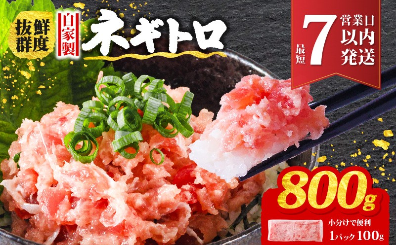 
                  【最短1週間で発送】ネギトロ 800g ( 100g×8パック )  | 手作り まぐろ 鮪 手詰め ネギトロ ねぎとろ まぐろたたき まぐろのたたき マグロたたき ネギとろ ねぎトロ maguro 愛媛県 松山市
                