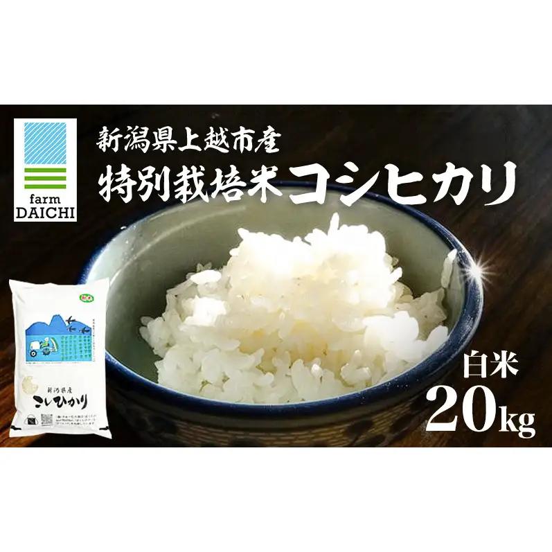 特別栽培米 コシヒカリ 20kg ふぁーむ大地 コシヒカリ