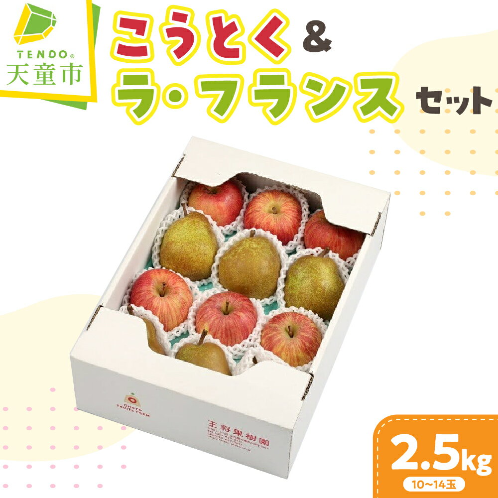 【ふるさと納税】りんご ( こうとく )＆ ラフランス セット 2.5kg 高徳 希少 りんご ラ・フランス 洋梨 果物 フルーツ 2種 計 10玉 〜 14玉 ご家庭用 のし 贈答 ギフト プレゼント お取り寄せ 旬 秋 期間限定 山形 産地直送 送料無料 先行予約 【 山形県 天童市 】
