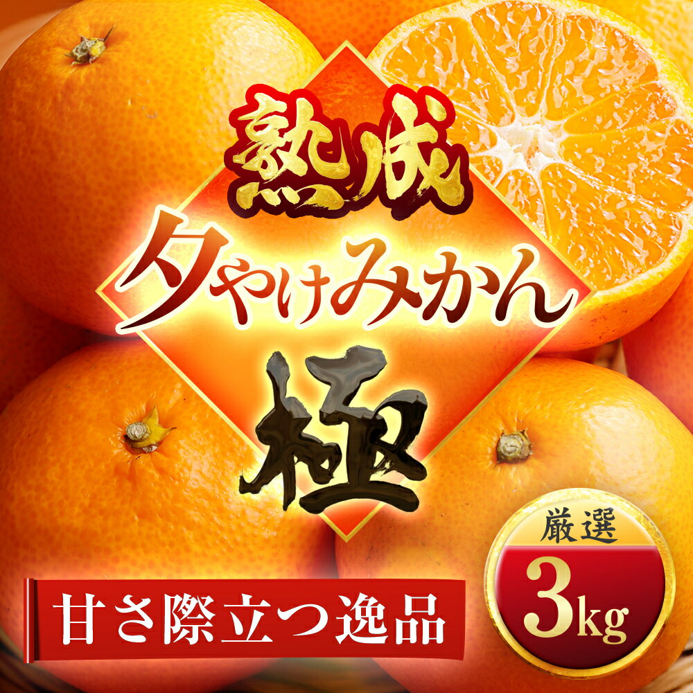 【ふるさと納税】【完熟&熟成】愛媛で育った夕やけみかん【極】3kg　※年明け発送【C49-77】_【1557679】 YWTZ062