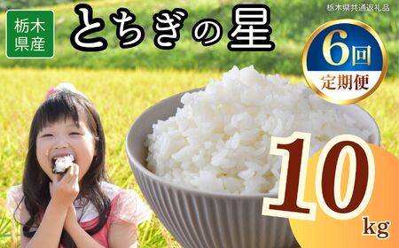 【6回定期便】栃木県産 とちぎの星 10kg | 栃木県 下野市
