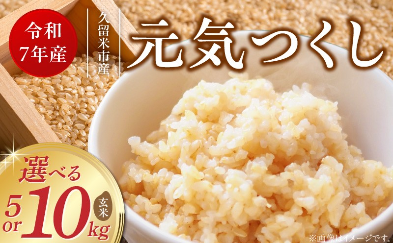 
            【令和7年産 新米】福岡県産ブランド米元気つくし 玄米 5kg・10kg_令和7年産 新米 元気つくし 玄米 選べる 内容量 5kg 10kg 福岡県産 ブランド米 鮮度抜群 新鮮 福岡生まれ 品種 香り豊か ふっくら 食感 ご飯 おにぎり 弁当 お米 食品 お取り寄せ 九州 久留米産 福岡県 久留米市 送料無料
          