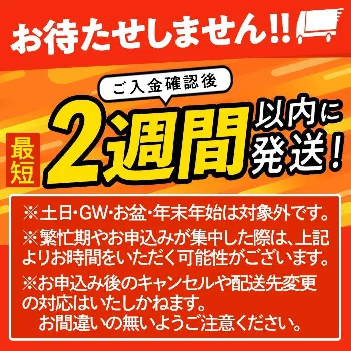 ＜2週間以内発送！＞ 宮崎牛 おにぎり (計1.2kg・120g×10P) お弁当 小分け 常温【AP-79】【株式会社 日向屋】