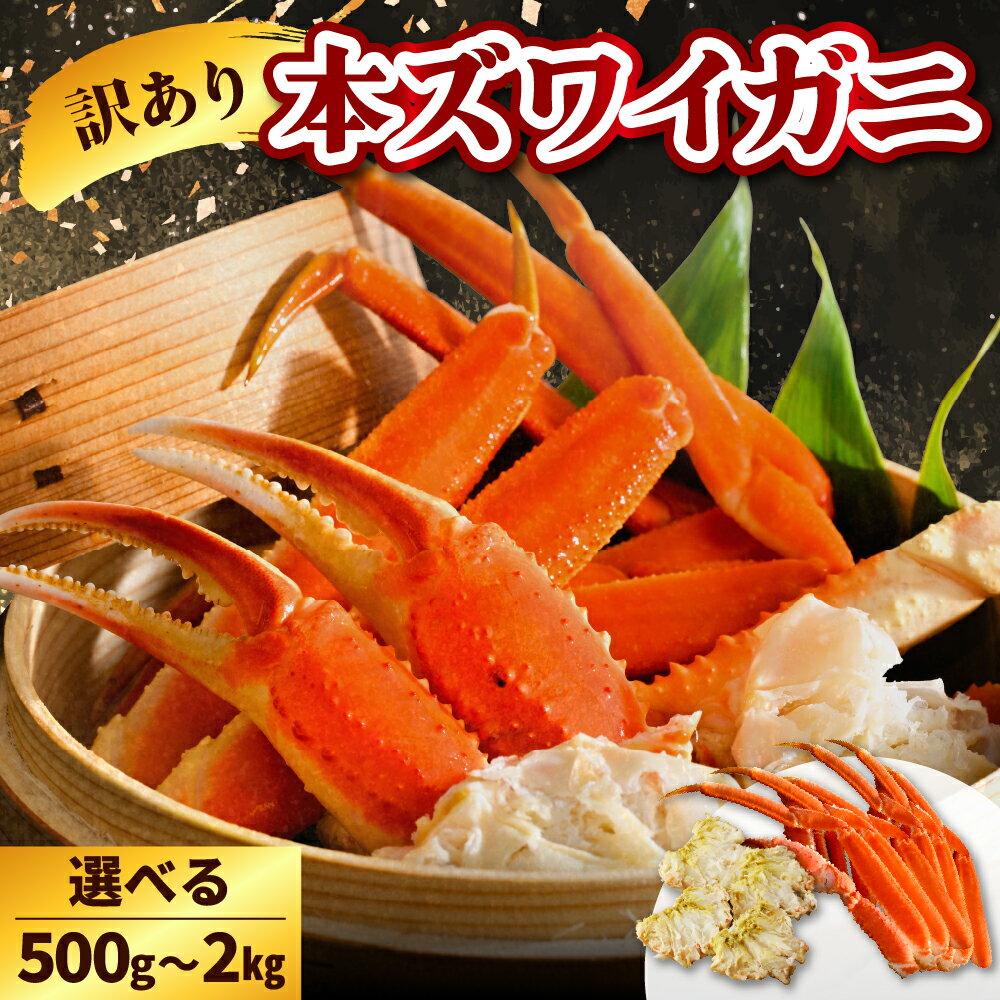 【ふるさと納税】 訳あり 本ズワイガニ ( 内容量が選べる : 500g 1kg 2kg ) 蟹 かに カニ脚 足 ボイル 茹で わけあり 規格外 不揃い 魚介 魚介類 海鮮 海の幸 海産物 冷凍 お取り寄せ 送料無料 北海道 えりも町