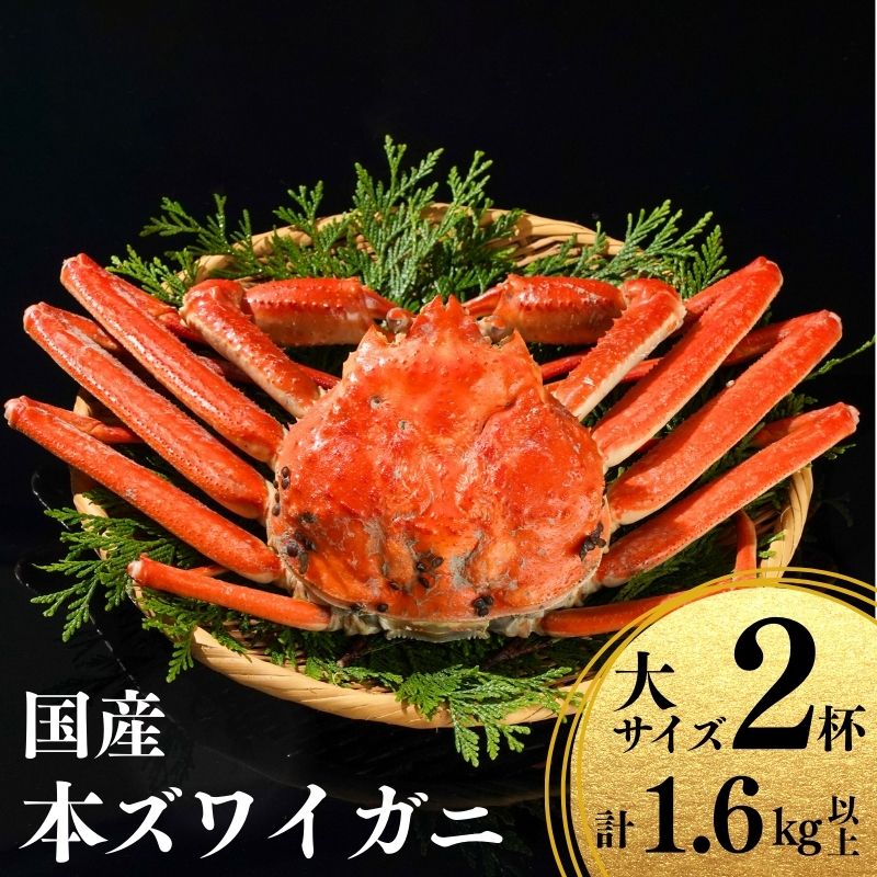 【ふるさと納税】〈先行予約〉本ズワイガニ800g×2杯 計1.6kg 【11月中旬以降発送】 姿 浜茹で 国産 鮮度が命！茹でたて直送 日本海 磯貝鮮魚店 ずわいがに かに 蟹 新潟県 糸魚川産 越後産 高級ガニ 厳選 釜茹 お取り寄せ ギフト カニみそ カニ味噌 ズワイガニ 姿 冷蔵