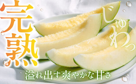 パパイヤメロン 6から8玉 約5kg / メロン めろん 果物 フルーツ / 南島原市 / うえだメロン園[SAD008]