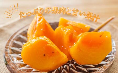 【ご家庭用】和歌山県産 富有柿約7.5kg【2025年11月上旬から11月下旬頃順次発送】【S96006-mtgn050】