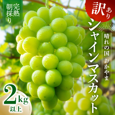2025年発送【完熟朝採り】訳あり シャインマスカット 2.0kg以上【配送不可地域：離島・北海道・沖縄・東北】【1626587】