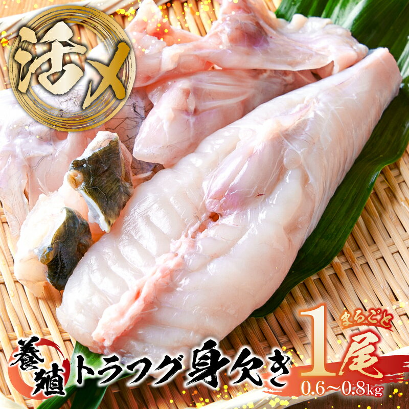 【ふるさと納税】養殖 トラフグ 身欠き 東京都 江東区 とらふぐ ふぐ てっちり ふぐ鍋 魚 魚介 真空パック 豊洲 市場 夕飯 おかず グルメ 食品 鍋 お取り寄せ 送料無料