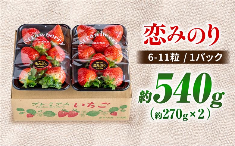 【先行予約】 こだわりいちご　恋みのり 約540g（約270g：6~11粒×2パック） 【合同会社 こば農園】 [ZFO001]
