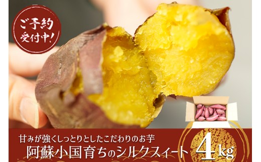 【下巣畑農産】＜先行予約＞阿蘇小国産 熟成 シルクスィート 4kg 令和8年 さつまいも 蜜芋 まとめ買い サイズおまかせ 地場産 贈答 ご家庭用 焼き芋 スィートポテト GAP認証 6次産業認定 認定農家 常温配送