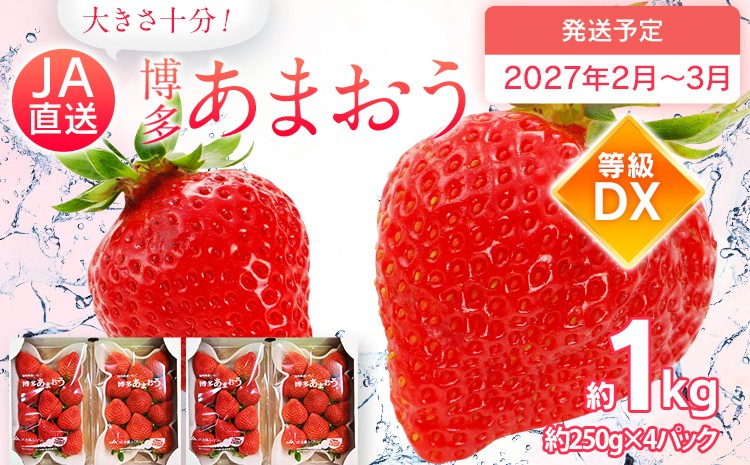 
                  先行予約 あまおう 合計約1kg 約250g×4パック DX 福岡県産 九州 イチゴ いちご 苺 果物 くだもの フルーツ 送料無料【2027年2月～2027年3月順次発送】
                